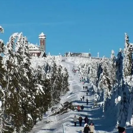 Mit Blick Auf Wasser By Interhome 公寓 Cranzahl