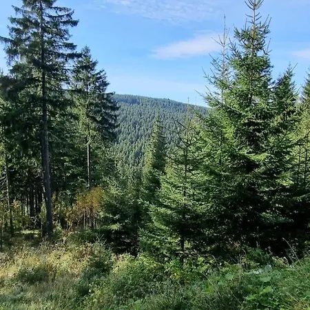 公寓 Mit Blick Auf Wasser By Interhome