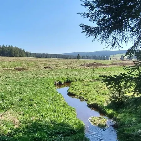 Mit Blick Auf Wasser By Interhome Cranzahl