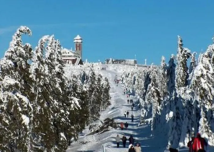 Mit Blick Auf Wasser By Interhome Appartamento Cranzahl