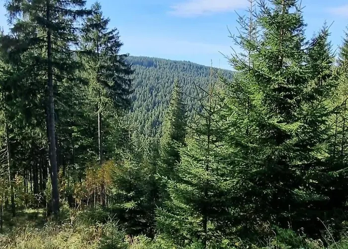 Apartment Mit Blick Auf Wasser By Interhome