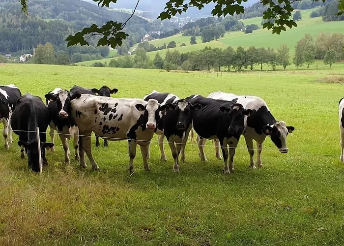 Mit Blick Auf Wasser By Interhome