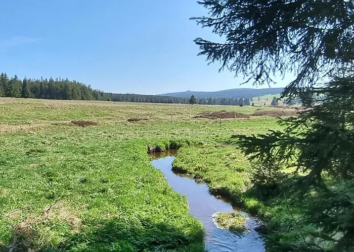 Mit Blick Auf Wasser By Interhome Cranzahl